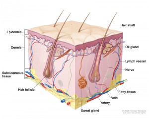 CDR0000579036